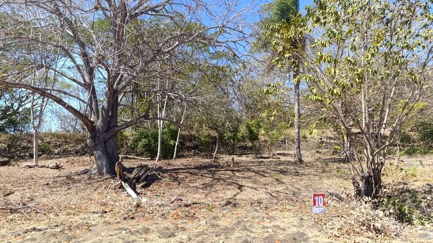 Lotes y Quintas en Hacienda Playa Blanca, Punta Morales, Puntarenas - Imagen 8