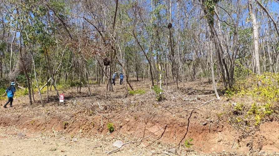Lotes y Quintas en Hacienda Playa Blanca, Punta Morales, Puntarenas - Imagen 6