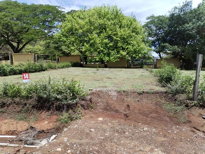Lotes y Quintas en Hacienda Playa Blanca, Punta Morales, Puntarenas - Imagen 16