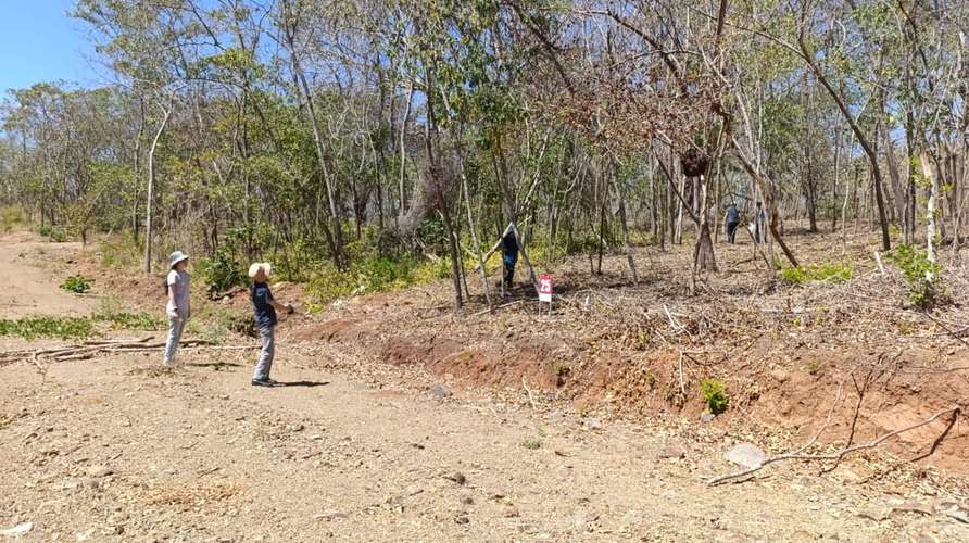 Lotes y Quintas en Hacienda Playa Blanca, Punta Morales, Puntarenas - Imagen 5