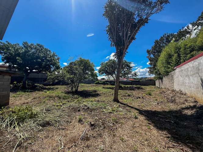 Venta OPORTUNIDAD Lote con Altísimo Potencial de Desarrollo - Imagen 10