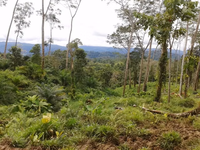 Finca en venta con belleza natural y potencial productivo $ 1.650.000 - Imagen 6