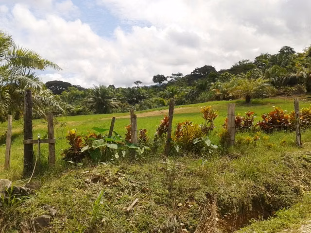 Finca en venta con belleza natural y potencial productivo $ 1.650.000 - Imagen 10