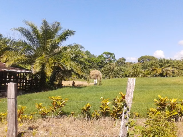 Finca en venta con belleza natural y potencial productivo $ 1.650.000 - Imagen 5