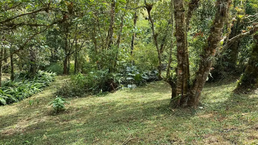Quintas en Los Bajos del Toro | Naturaleza, Río y Clima Fresco