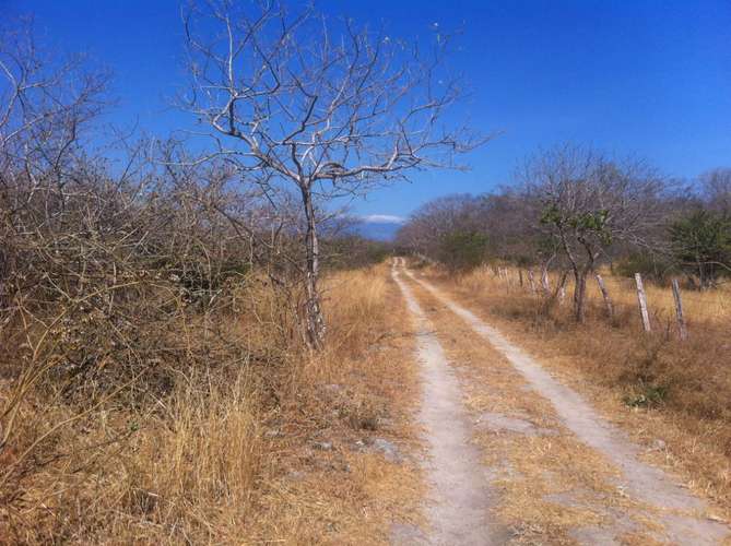 EXCLUSIVA PROPIEDAD EN VENTA EN PAPAGAYO, GUANACASTE - Imagen 6