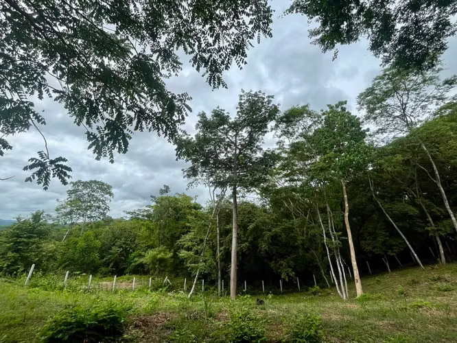 Lote residencial de 1.625 m² en Playa Grande, Guanacaste | Permiso de construcción aprobado - Imagen 6