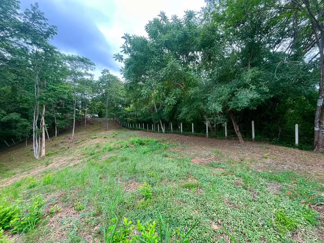Lote residencial de 1.625 m² en Playa Grande, Guanacaste | Permiso de construcción aprobado - Imagen 2
