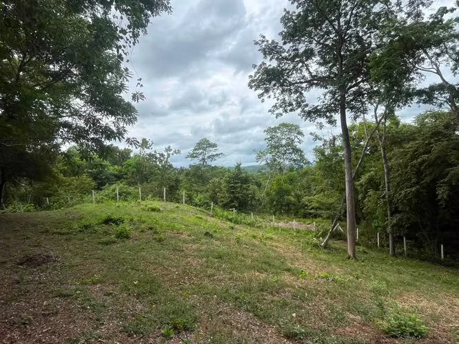 Lote residencial de 1.625 m² en Playa Grande, Guanacaste | Permiso de construcción aprobado - Imagen 3