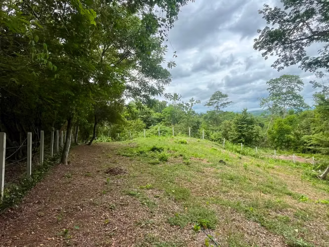 Lote residencial de 1.625 m² en Playa Grande, Guanacaste | Permiso de construcción aprobado - Imagen 4