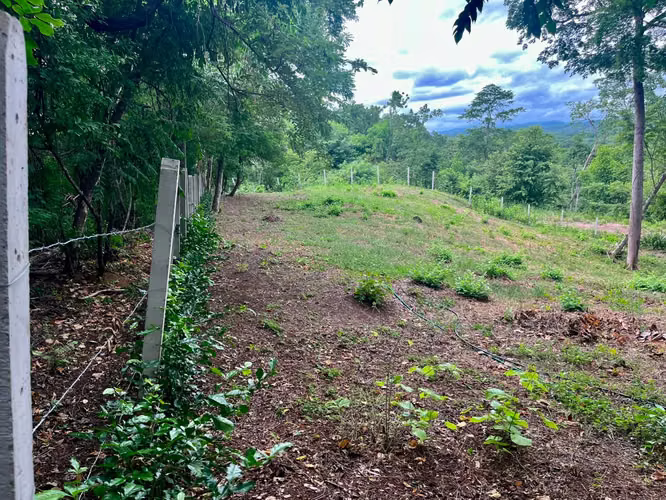 Lote residencial de 1.625 m² en Playa Grande, Guanacaste | Permiso de construcción aprobado - Imagen 5