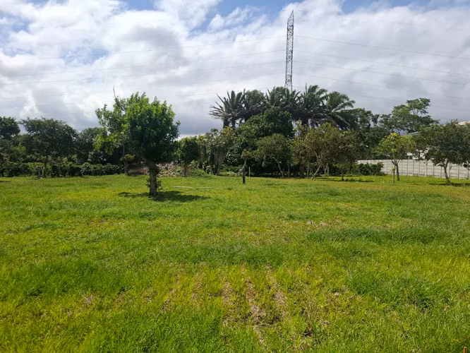 Espectacular lote completamente plano a la venta en Los Ángeles, Santo Domingo. - Imagen 6