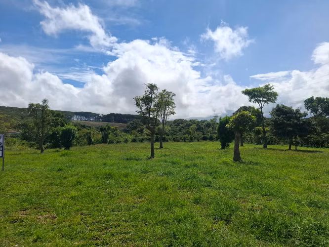 Espectacular lote completamente plano a la venta en Los Ángeles, Santo Domingo. - Imagen 4