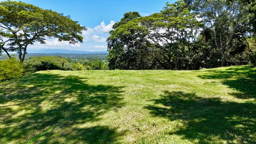 Terreno Excepcional en Tarcoles: Vistas al Mar, Río y Naturaleza Pura - Imagen 4