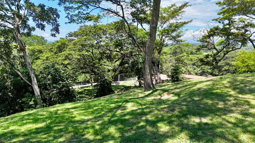 Terreno Excepcional en Tarcoles: Vistas al Mar, Río y Naturaleza Pura
