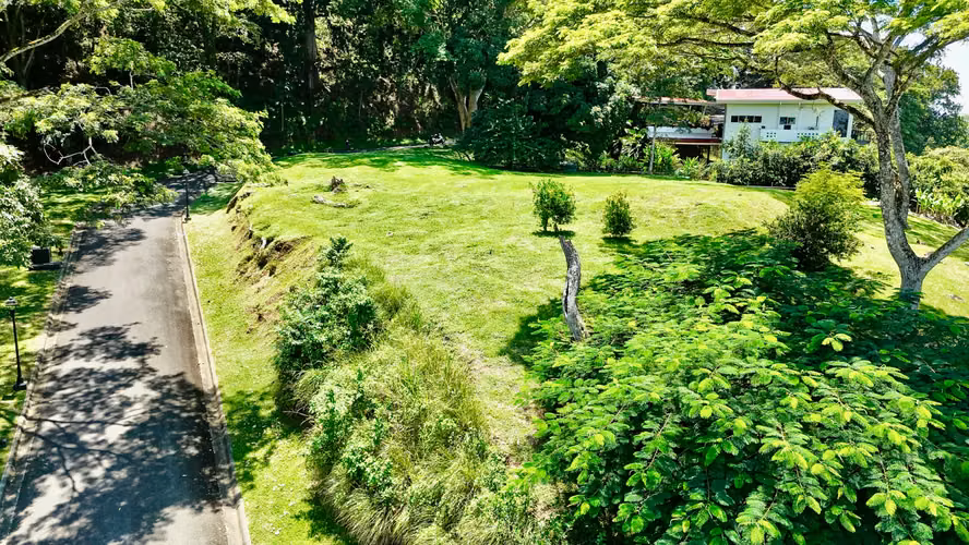 Terreno Excepcional en Tarcoles: Vistas al Mar, Río y Naturaleza Pura - Imagen 10