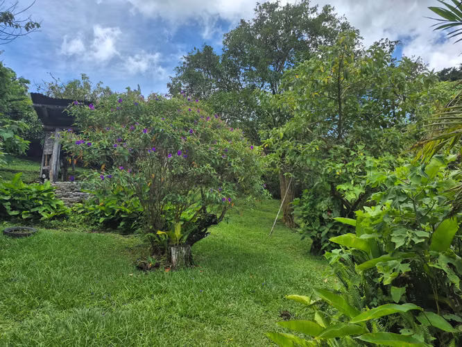 Venta de lote residencial en San José de la Montaña - Imagen 7