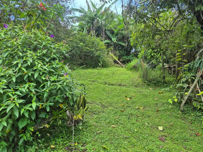 Venta de lote residencial en San José de la Montaña - Imagen 10
