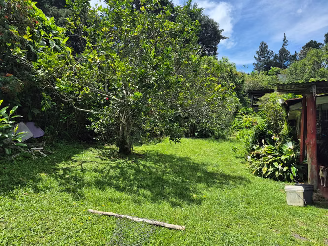 Venta de lote residencial en San José de la Montaña - Imagen 3