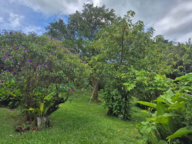 Venta de lote residencial en San José de la Montaña - Imagen 9