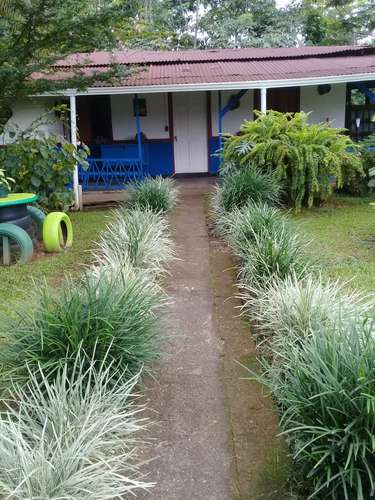 FINCA CON 3 CASAS EN LA ARGENTINA, POCORA, LIMON. SE VENDE - Imagen 16