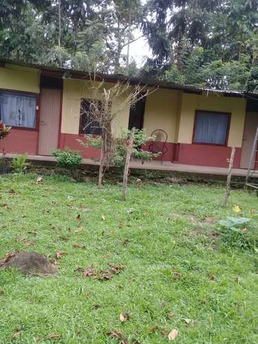 FINCA CON 3 CASAS EN LA ARGENTINA, POCORA, LIMON. SE VENDE - Imagen 14