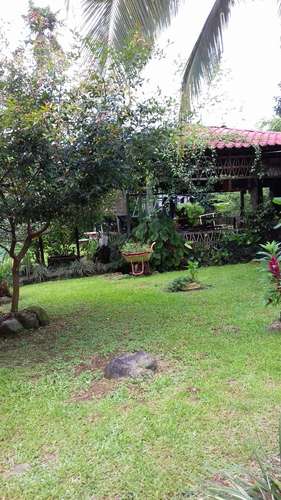 FINCA CON 3 CASAS EN LA ARGENTINA, POCORA, LIMON. SE VENDE - Imagen 5