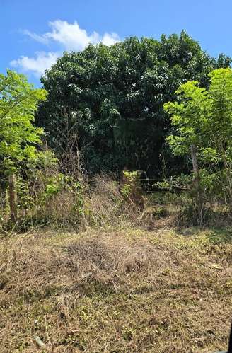 TERRENO INDUSTRIAL EN OROTINA, ALAJUELA. SE VENDE - Imagen 6