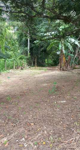TERRENO INDUSTRIAL EN OROTINA, ALAJUELA. SE VENDE - Imagen 2