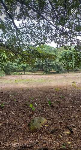 TERRENO INDUSTRIAL EN OROTINA, ALAJUELA. SE VENDE - Imagen 4