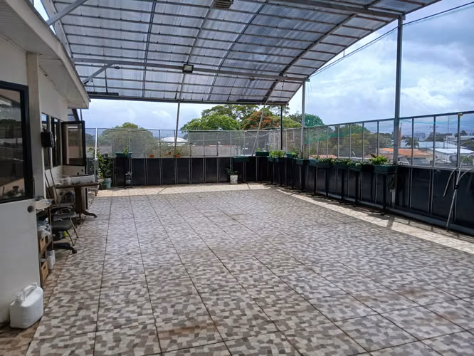 SE VENDE EDIFICIO DE 7 APARTAMENTOS PARA AIRBNB EN LA URUCA, POR EL HOTEL BARCELO PALACIO. - Imagen 3