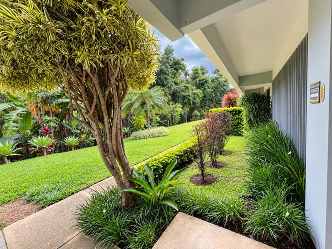 Apartamento en venta en Moravia–Tibás | Primer nivel | 100.000.000 - Imagen 1
