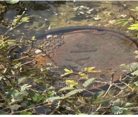 VENTA DE TERRENO, SARDINAL, GUANACASTE - Imagen 2