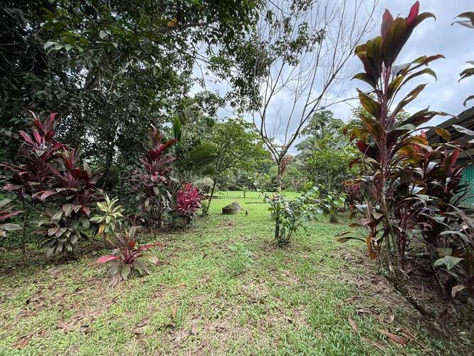 Finca Turistica Pococi - Imagen 8