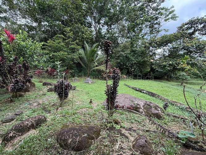 Finca Turistica Pococi - Imagen 5