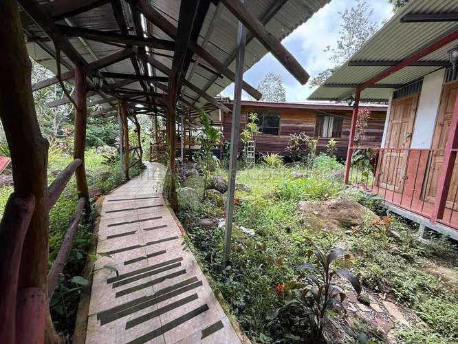 Finca Turistica Pococi - Imagen 13