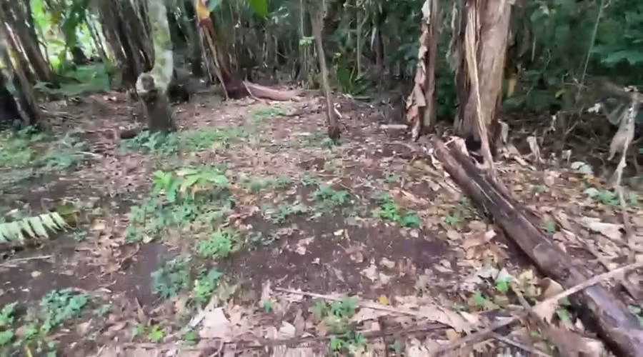 ID #1611 TRES RIOS SAN JUAN LINDO Y AMPLIO LOTE - Imagen 8