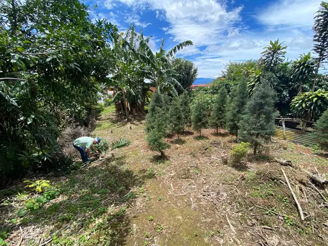 ID #1612 TRES RIOS CONCEPCION RESIDENCIAL MONSERRAT LINDO LOTE - Imagen 4