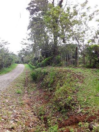 ID #1420 GUACIMO HERMOSA PROPIEDAD 6115 M2