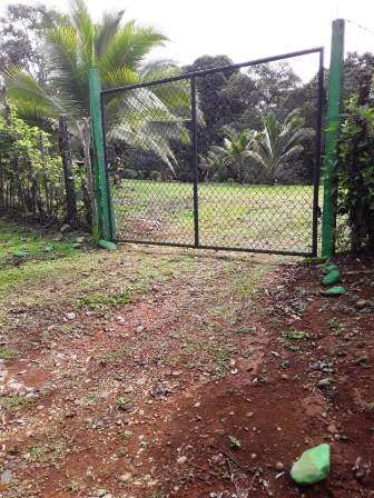 ID #1420 GUACIMO HERMOSA PROPIEDAD 6115 M2