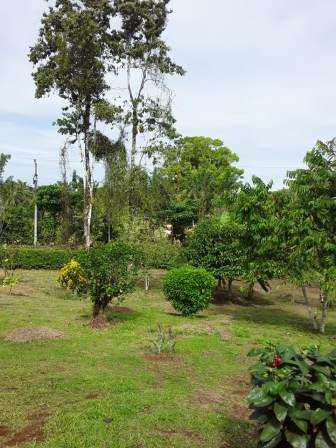 ID #1420 GUACIMO HERMOSA PROPIEDAD 6115 M2