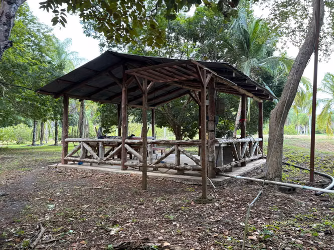 Venta de finca cultivada de limones Mesinos en Colorado, Abangares, Guanacaste