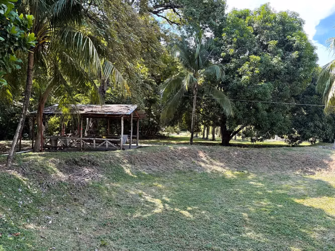 Venta de finca cultivada de limones Mesinos en Colorado, Abangares, Guanacaste