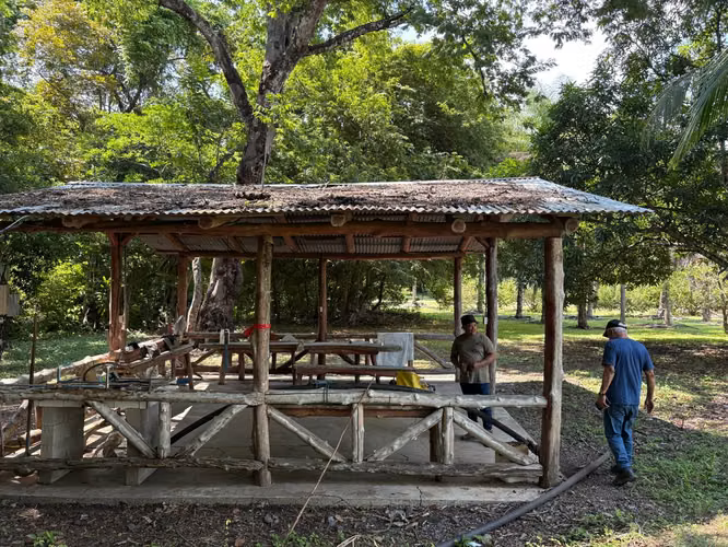 Venta de finca cultivada de limones Mesinos en Colorado, Abangares, Guanacaste