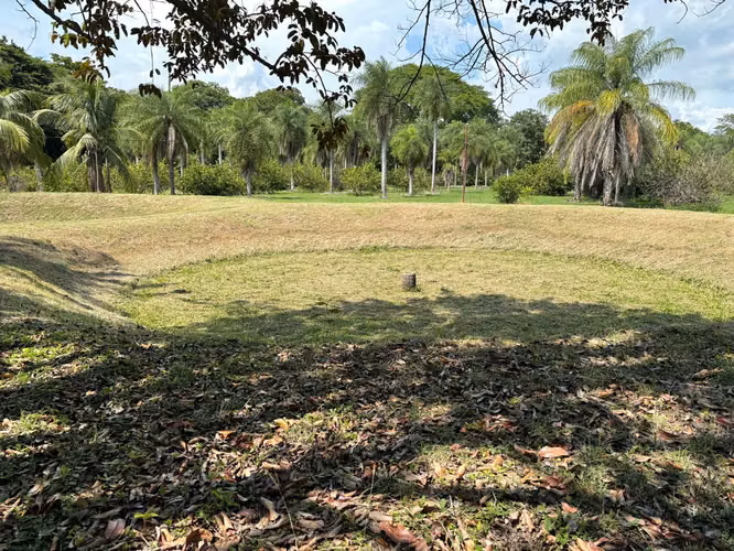 Venta de finca cultivada de limones Mesinos en Colorado, Abangares, Guanacaste