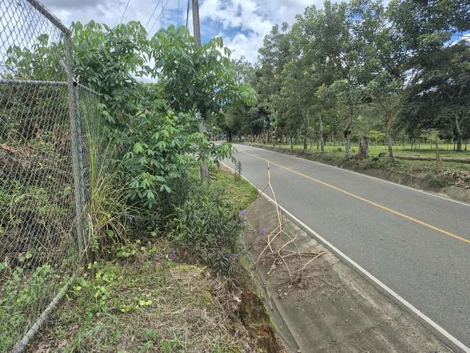 Lote 1000 m² plano cerca de escuela en Los Chiles, Pérez Zeledón - Imagen 8