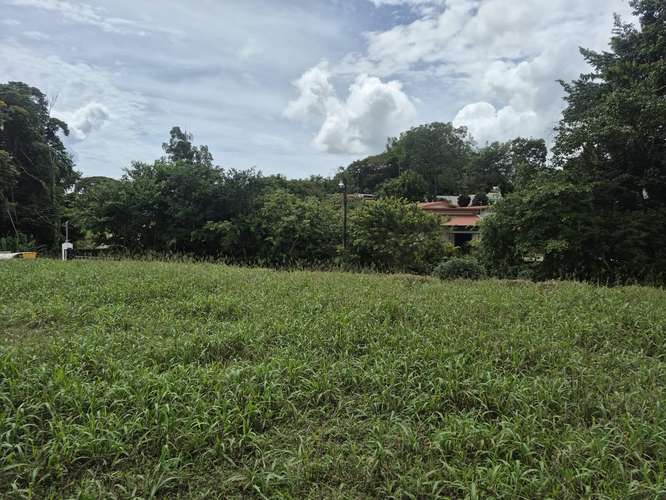 Lote 1000 m² plano cerca de escuela en Los Chiles, Pérez Zeledón - Imagen 9