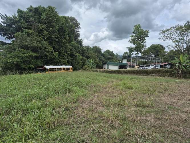 Lote 1000 m² plano cerca de escuela en Los Chiles, Pérez Zeledón - Imagen 6