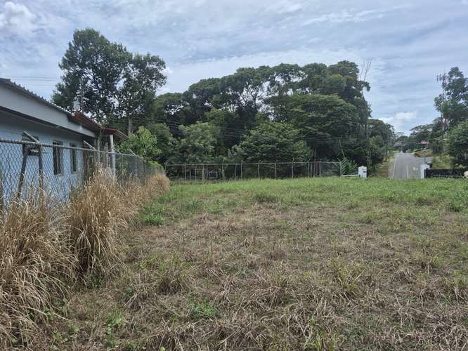Lote 1000 m² plano cerca de escuela en Los Chiles, Pérez Zeledón - Imagen 5