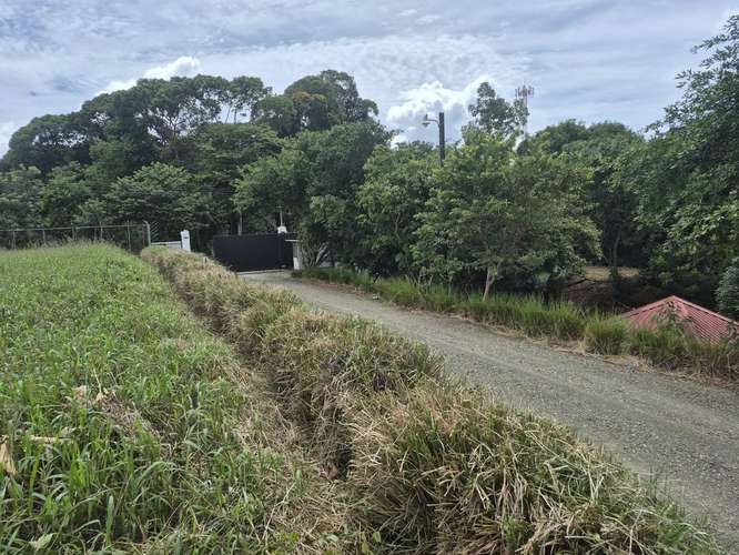 Lote 1000 m² plano cerca de escuela en Los Chiles, Pérez Zeledón - Imagen 3